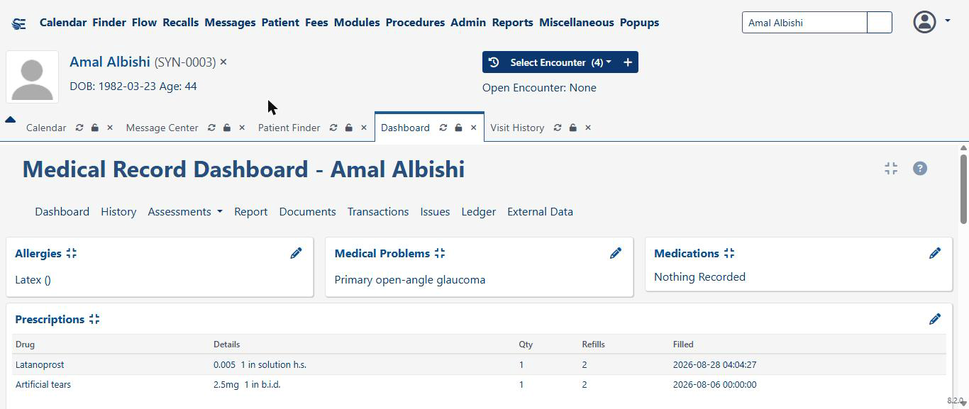 SkyEagle clinical record view for a patient showing allergy, medical problem, and prescription panels.